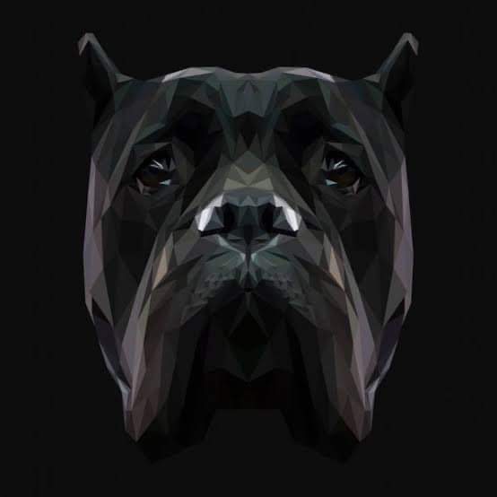 Canecorsoo